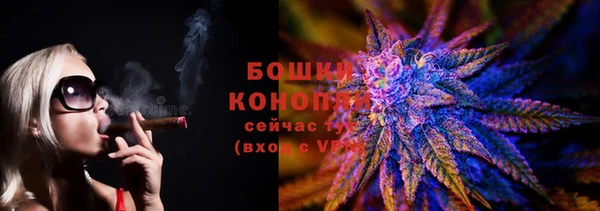 ПСИЛОЦИБИНОВЫЕ ГРИБЫ Алексеевка