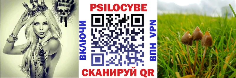 Псилоцибиновые грибы мухоморы  Купить закладки  Курган 