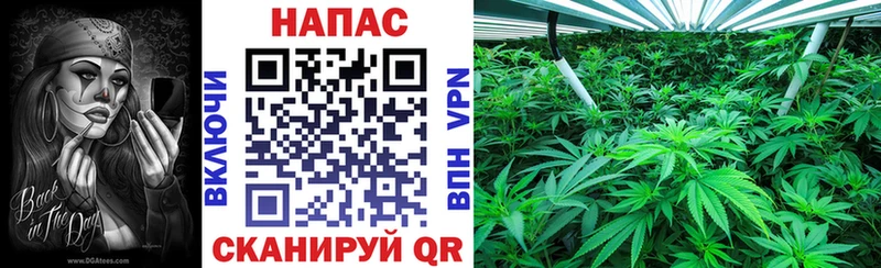 Купить закладки  Курган  МАРИХУАНА индика 